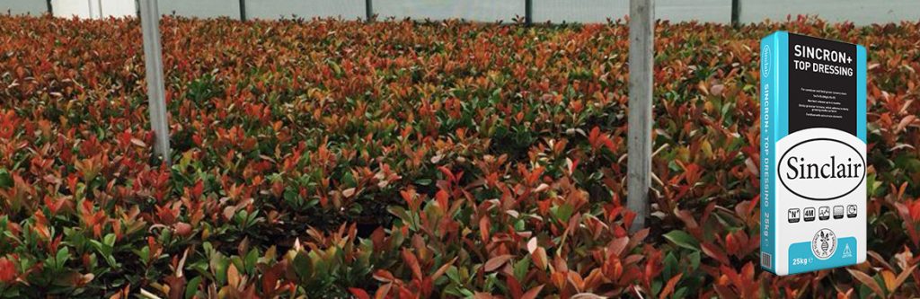 IDEAL TOP DRESSING FOR CONTAINER & FIELD GROWN NURSERY STOCK